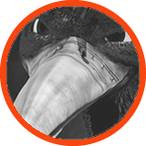 The Legend of Sarila